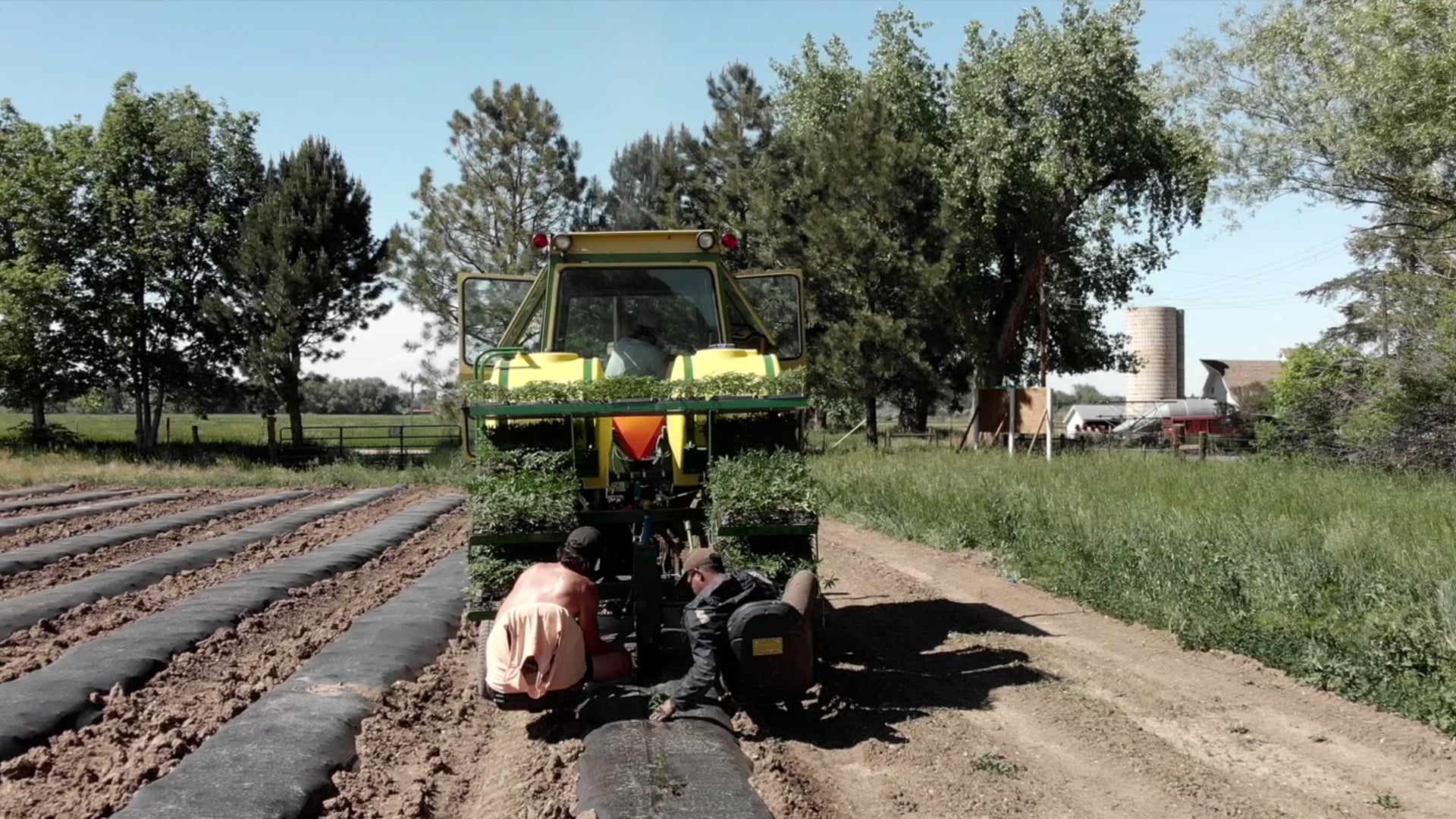 One Farm — WAAYB